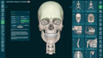 3D Organon Screen Records 8