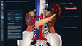 3D Organon Printscreens 10