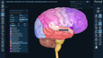 3D Organon Screen Pics 2