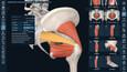 3D Organon Snapshots 11