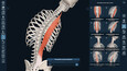 3D Organon Display Captures 12