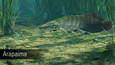 Screenshot #4