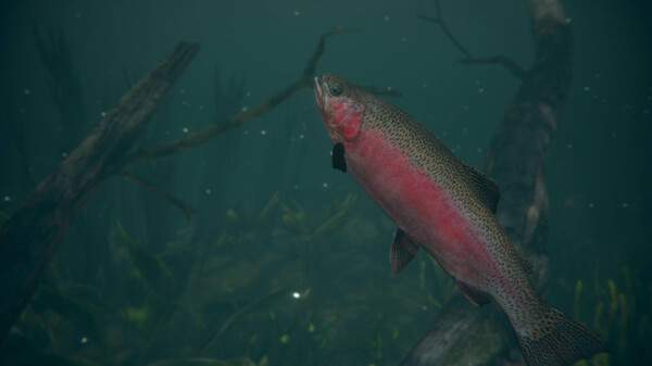ss_05692f4c476cc6e0b3580424d3f4768bffbb122a.600x338.jpg