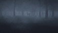 It Will Find You Captures 2