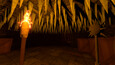 Screenshot #9