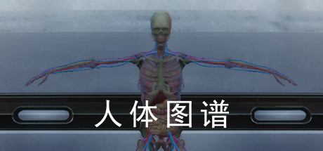 人体图谱 Cover Image