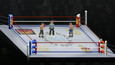 Haymaker Snaps 1