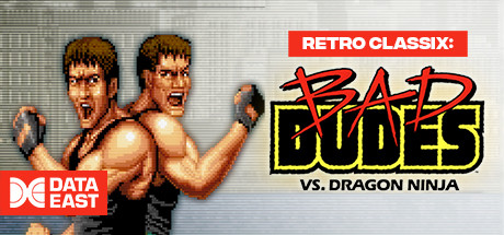 Retro Classix: Bad Dudes Cover Image