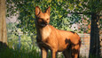 Planet Zoo: Southeast Asia Animal Pack Frame Grabs 6