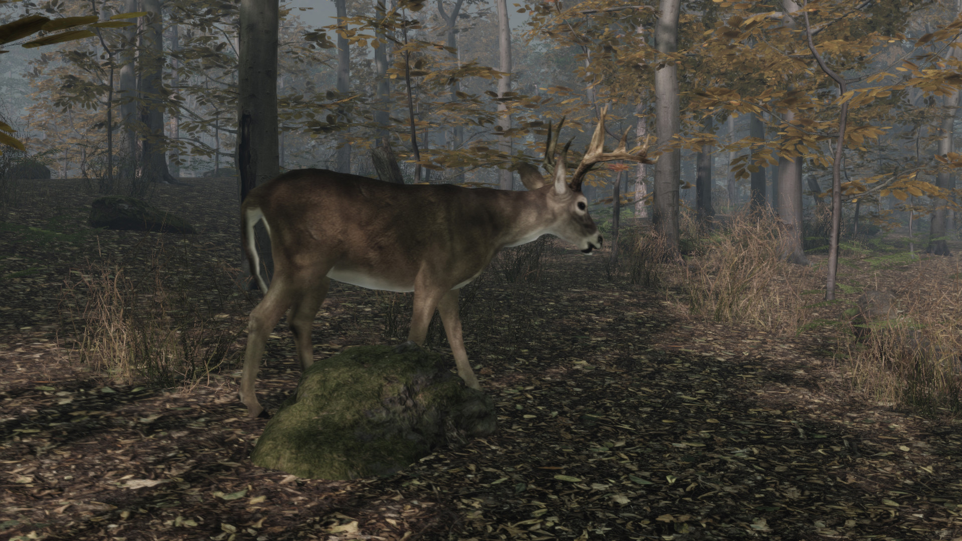 Pro Deer Hunting 2 в Steam