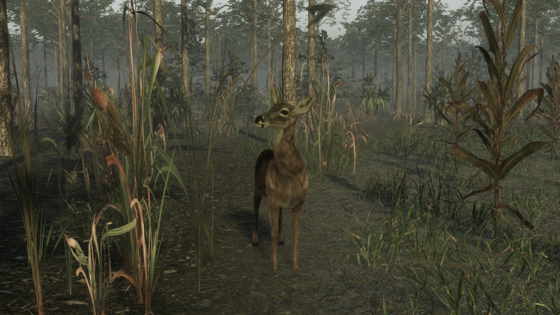 Pro Deer Hunting 2 в Steam