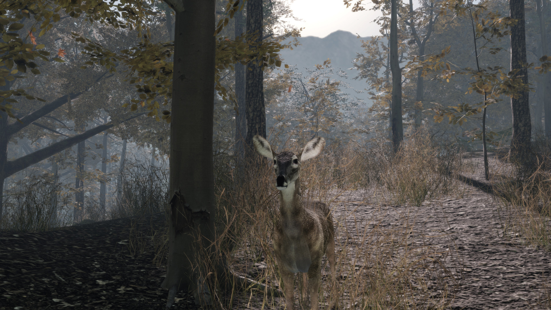 Pro Deer Hunting 2 в Steam