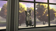 A screenshot of Copycat
