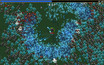 A screenshot of Vampire Survivors