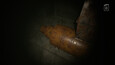 Screenshot #7