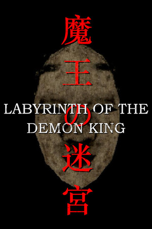 Cover for Labyrinth Of The Demon King