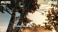 Captura n.º 3