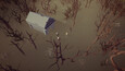 Edge Islands Screen Records 5