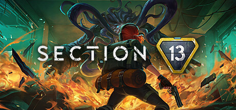 Section 13 Cover Image