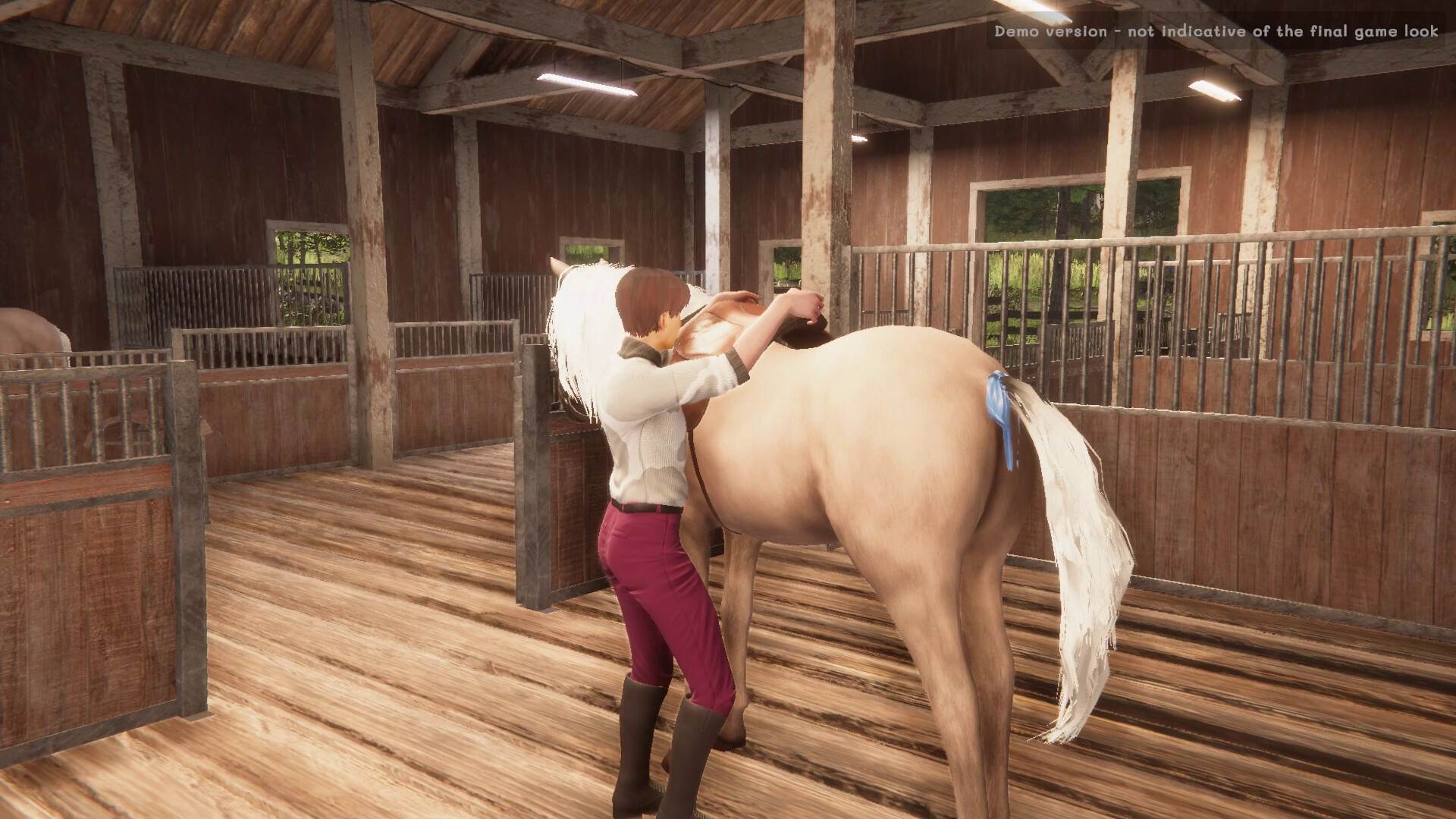 My Horse: Bonded Spirits в Steam