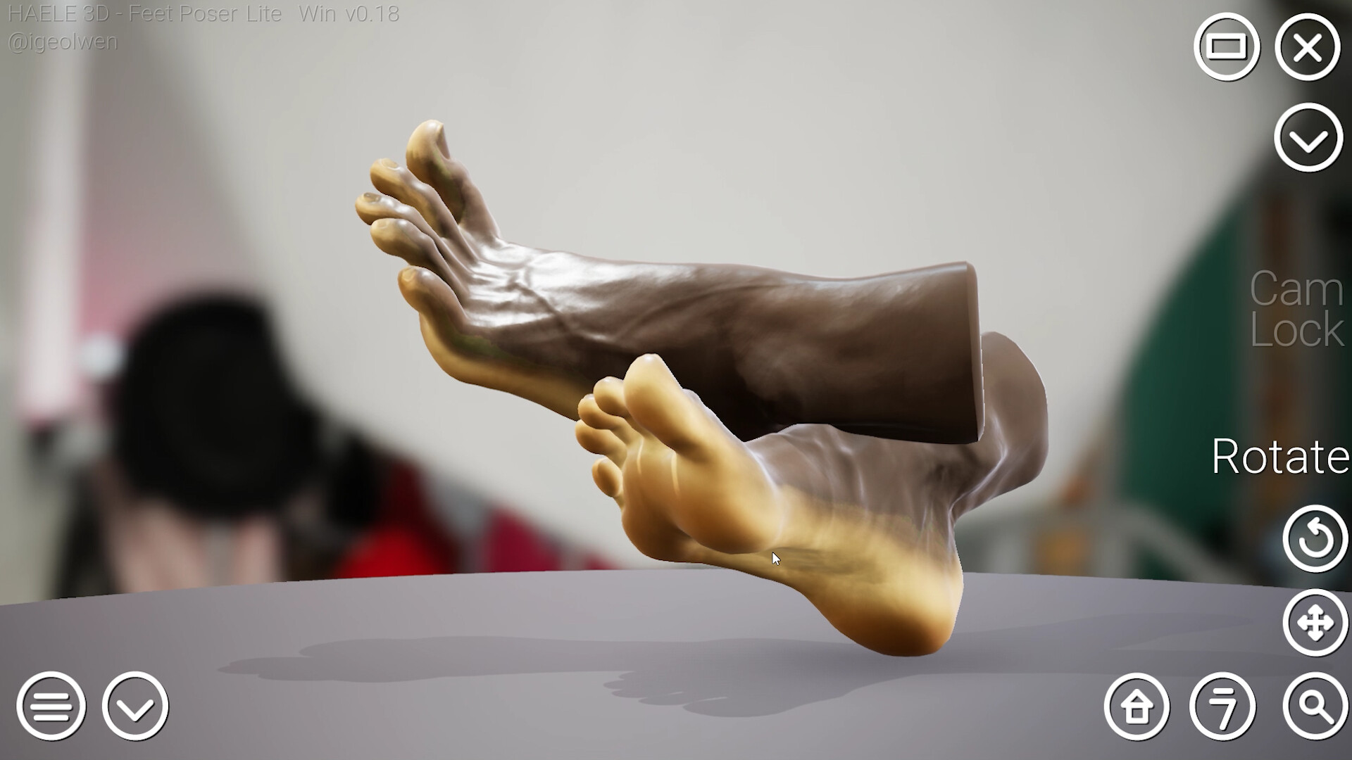 HAELE 3D - Feet Poser Lite в Steam