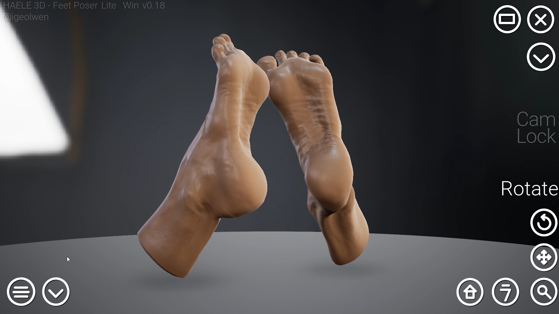 HAELE 3D - Feet Poser Lite в Steam