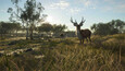 theHunter: Call of the Wild™ - Emerald Coast Australia Screen Prints 10