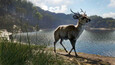 theHunter: Call of the Wild™ - Emerald Coast Australia Snaps 12