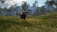 theHunter: Call of the Wild™ - Emerald Coast Australia Snaps 8