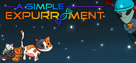 A Simple Expurriment Cover Image