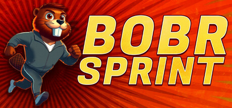 BOBR SPRINT Cover Image