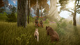 A screenshot of Eydigard