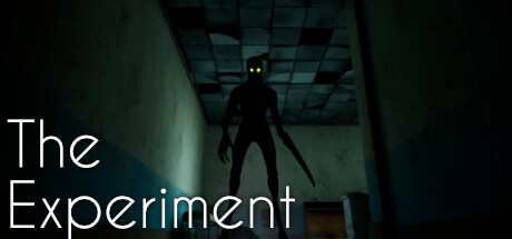 Обложка The Experiment