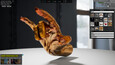 HAELE 3D - Hand Poses Lite - Drawing References Screen Records 13