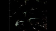 Teaser | 見つけた