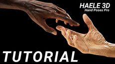 Gameplay | TUTORIAL - HAELE 3D - Hand Poses Pro - Drawing References