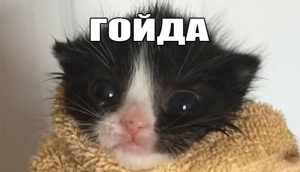 МЕМОЛОГИЯ: ЕГЭ ПО МЕМАМ