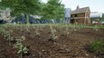 Farmer's Diary Snapshots 8