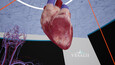 Vesalii Anatomy VR Student Captures 2