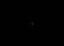 A screenshot of What Lurks Inside