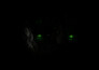 A screenshot of What Lurks Inside