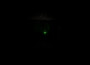 A screenshot of What Lurks Inside