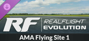 RealFlight Evolution - AMA Flying Site 1