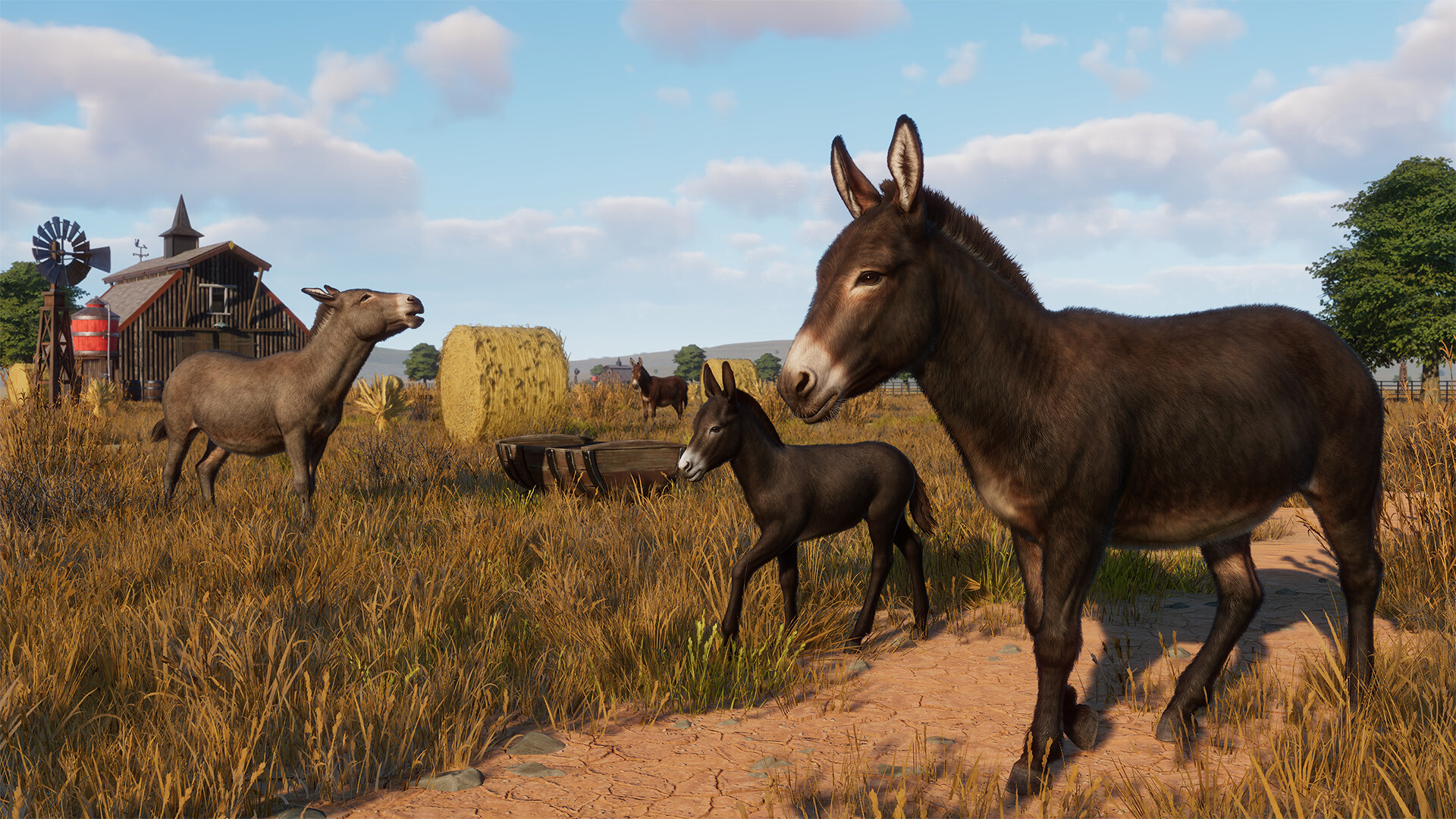 Planet Zoo: Barnyard Animal Pack в Steam