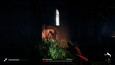 A screenshot of Midnight Mayhem