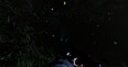 Screenshot #7