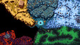 Screenshot #6