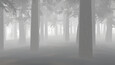 Into the Wild Images 5