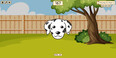 Dogs Pictures 2