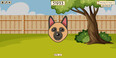 Dogs Screen Photos 5